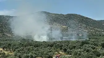 İzmir'in Bayındır İlçesinde Zeytinlik Alanda Yangın Çıktı