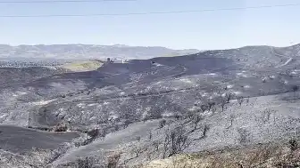 Kaliforniya'da Orman Yangını Kontrol Altına Alınamıyor