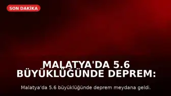 Malatya'da 5.6 Büyüklüğünde Deprem: Prof. Dr. Şener Üşümezsoy'un Tahmini Doğrulandı