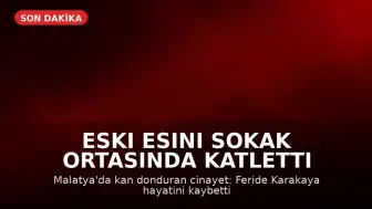 Malatya'da Eski Eş Cinayeti: F.K. Sokak Ortasında Katledildi