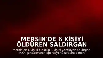 Mersin'de 6 Kişiyi Öldüren Saldırgan İntihar Etti