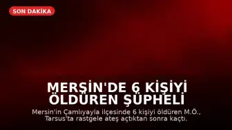 Mersin'de 6 Kişiyi Öldüren Şüpheli İntihar Etti