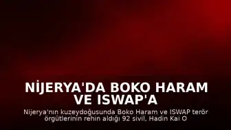 Nijerya'da Boko Haram ve ISWAP'a Karşı Operasyon: 92 Sivil Kurtarıldı