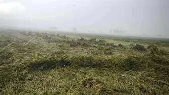 Osmaniye'de Sağanak Nedeniyle Evinde Mahsur Kalan Yaşlı Kadın Kurtarıldı