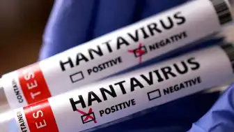 Sağlık Bakanlığı'ndan Hantavirüs Açıklaması: Türkiye'ye Getirilen Vatandaşlar Karantinada