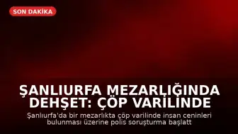 Şanlıurfa Mezarlığında Dehşet: Çöp Varilinde İnsan Ceninleri Bulundu