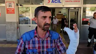 Şanlıurfa'da Kurban Kesimi Sırasında 232 Kişi Yaralandı