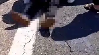 Şanlıurfa'da Kurbanlık Yüklü Kamyonet Devrildi: 1 Kişi Hayatını Kaybetti, 1 Yaralı