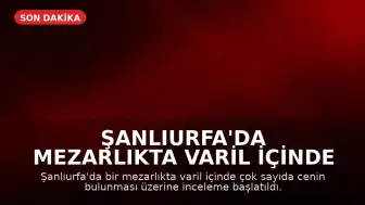 Şanlıurfa'da Mezarlıkta Varil İçinde Çok Sayıda Cenin Bulundu