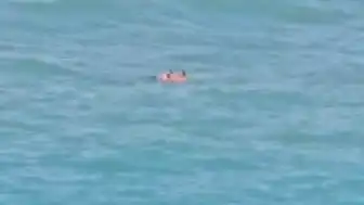 Şile'de Denize Giren 2 Kişi Akıntıya Kapıldı, Sahil Güvenlik Kurtardı