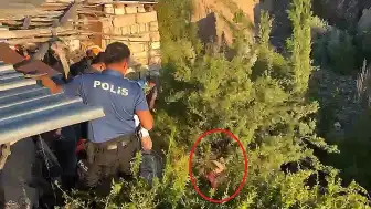 Tedaviyi Reddettiği Hastaneden Kaçan Şahıs Dere Yatağındaki Ağaçta Asılı Kaldı