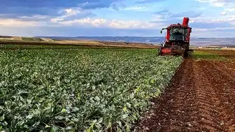 Tokat'ta Sel ve Dolu Felaketi Çiftçiyi Vurdu: Ziraat Odası Destek Sözü Verdi
