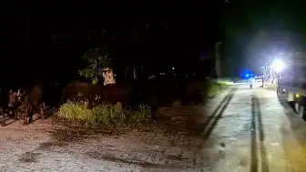Tokat'ta Taşkın Riski Nedeniyle Bir Köy Tahliye Ediliyor