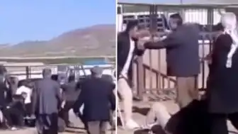 Van Hayvan Pazarında Kanlı Kavga: 1 Ölü, 13 Yaralı
