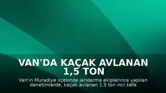 Van'da Kaçak Avlanan 1,5 Ton İnci Kefali Doğaya Salındı