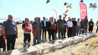 Adıyaman'da Biyolojik Mücadele İçin 1000 Keklik Doğaya Salındı