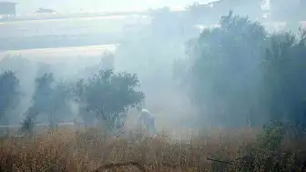 Antalya'da Çalılık Alanda Çıkan Yangın Seralara Ulaşmadan Söndürüldü