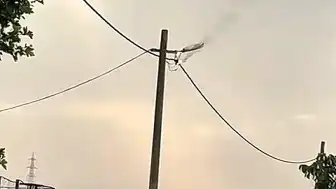 Bandırma'da Elektrik Hattında Arıza: Korku Dolu Anlar Yaşandı