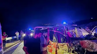 Bingöl'de Trafik Kazası: Ata Çarpan Panelvanın Sürücüsü Hayatını Kaybetti, 2 Kişi Yaralandı