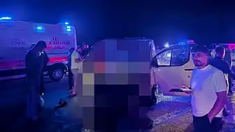 Bingöl'de Trafik Kazası: Ata Çarpan Panelvanın Sürücüsü Hayatını Kaybetti, 2 Kişi Yaralandı