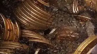 California'da Mülk Sınırlarında Dev Madeni Para Hazinesi Keşfedildi