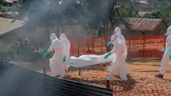 Fransa Sağlık Bakanlığı: "Ülke topraklarında ilk Ebola virüsü vakasının tespit edildi"