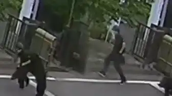 Japonya'da Ayı Saldırıları Sonucu Eğitime Ara Verildi