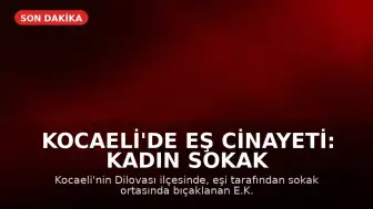 Kocaeli'de Eş Cinayeti: Kadın Sokak Ortasında Bıçaklanarak Hayatını Kaybetti