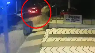Maltepe'deki kaçırma olayına ilişkin soruşturmada gözaltı sayısı 12'ye yükseldi