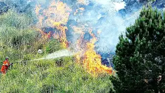 Ormancılardan Yaz Sıcaklıkları ve Kuraklık Tehlikesine Karşı Uyarı