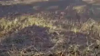 Şanlıurfa Siverek'te Arazi Yangını: 3 Yaralı ve Büyük Hasar