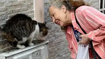 Sinema Oyuncusu ve Hayvan Hakları Savunucusu Emel Yıldız Son Yolculuğuna Uğurlandı