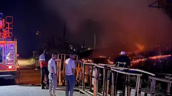 Sinop'ta Orman Ürünleri Fabrikasında Yangın: Depo Bölümü Hasar Gördü