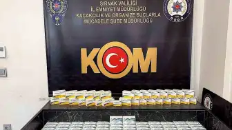 Şırnak'ta 2,5 Milyon Liralık Kaçak Tıbbi Ürün Operasyonu: 2 Gözaltı