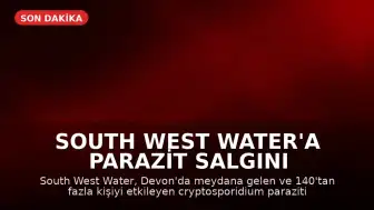 South West Water'a Parazit Salgını Nedeniyle 1.8 Milyon Sterlin Ceza Kesildi