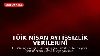 TÜİK Nisan Ayı İşsizlik Verilerini Açıkladı: İşsizlik Oranı Yüzde 8,2'ye Yükseldi