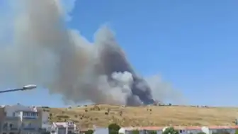 Türkiye Genelinde Yangın Hareketliliği: İzmir ve Bursa'da Alevlerle Mücadele Sürüyor