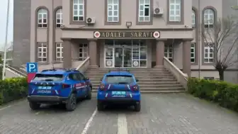 Zonguldak'ta uyuşturucu operasyonu: Evde kenevir yetiştiren 2 şüpheli yakalandı