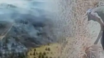 Ankara'da Otluk Alanda Çıkan Yangının Kundaklama Olduğu Ortaya Çıktı