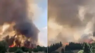 Ankara'da Otluk Alanda Yangın Çıktı