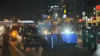 Bakırköy D-100'de Yaya Ölümü: Otomobil Çarptı