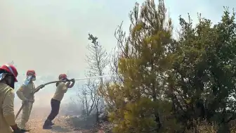Balıkesir Gömeç'te Orman Yangınına Havadan ve Karadan Müdahale Ediliyor