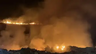 Bodrum Ortakent'te Ormanlık Alanda Yangın: Müdahale Devam Ediyor