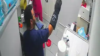 Bursa Orhangazi'de Veteriner Kliniğinde Sıra Dışı Olay: Sokak Kedisi Panik Yarattı