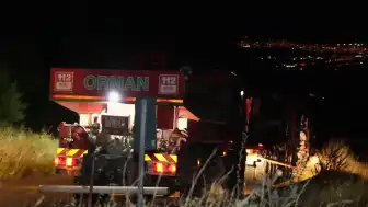 Denizli Pamukkale'de Orman Yangını: Rüzgarın Etkisiyle Alevler Yeniden Yükseldi