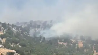 Diyarbakır Çüngüş'te örtü yangını: Ekiplerin müdahalesi devam ediyor