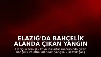 Elazığ'da Bahçelik Alanda Çıkan Yangın Kontrol Altına Alındı