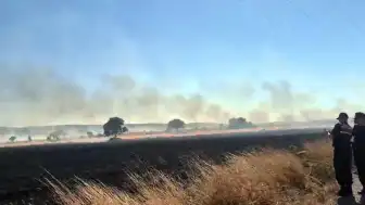 Eskişehir'in Seyitgazi İlçesinde Yangın Ormana Doğru İlerliyor