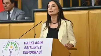Hatimoğulları'ndan Çerçeve Yasa Açıklaması: 'Son İmralı Ziyaretindeki Mutabakat Yasaya Yansımalı'