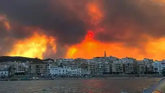 İspanya Almeria'daki Orman Yangınında Can Kaybı Artıyor: En Az 11 Ölü